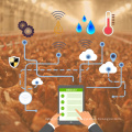 Servicio de soluciones IoT (Internet de las cosas) Temperatura del aire de agricultura inteligente y sensor Huimidirty